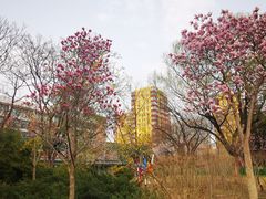 -双榆树公园