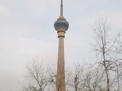 -中央广播电视塔