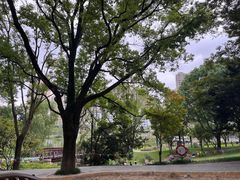 -宁波儿童公园(鄞州区)