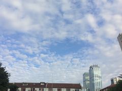 -上海市位育初级中学