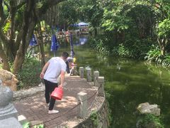 -人民公园(罗湖区)