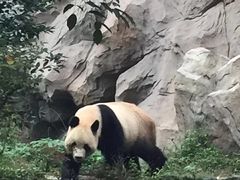 -仙芝竹尖生态园旅游景区