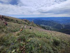 -白草畔自然风景区