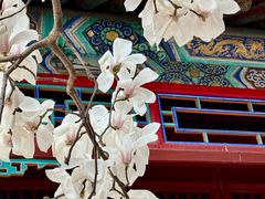 -潭柘寺景区