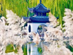 -陶然亭公园