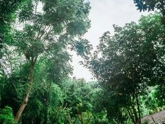 -融汇温泉