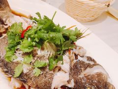 清蒸苏丹鱼-新加坡海鲜共和(名胜世界圣淘沙海滨坊)