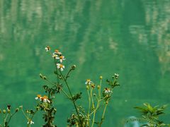 -水濂山森林公园