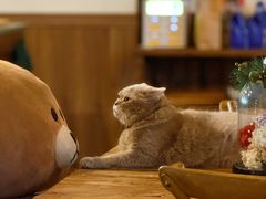 -MIMO CAFE(沙头角店)