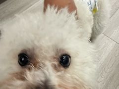 -绿壁虎攀岩基地(Tcar店)