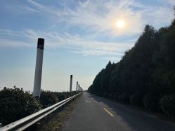 -水八仙生态园