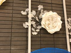 -八喜G’nature冰淇淋旗舰店