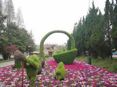 -东平国家森林公园