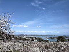 -松岛