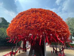 -郑州方特梦幻王国