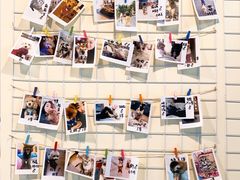 -派多格宠物(御景湾店)