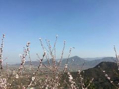 -北京鹫峰国家森林公园