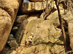 -大泽山风景名胜区