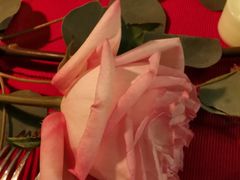 -花·fleur古董西餐厅(西城夜未央店)