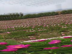 -金堂县云顶石城风景区