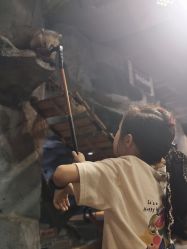 -Zoolung Zoolung动物主题公园(海信广场店)