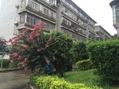 -广东外语外贸大学(白云山校区)