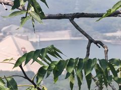 -十三陵水库