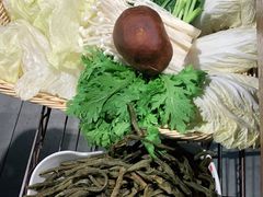 -友乐居羊蝎子(西直门店)