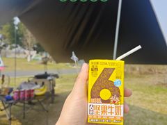 -九里河湿地公园