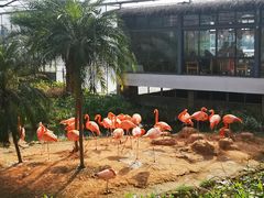 -无锡动物园·太湖欢乐园