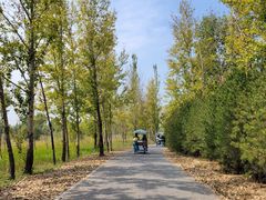 -野鸭湖国家湿地公园