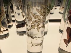 -北京中医药大学-中医药博物馆