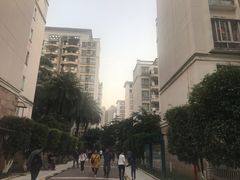 小区环境-保利花园