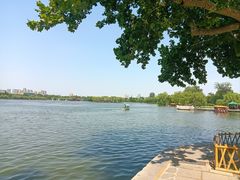 -济南大明湖景区