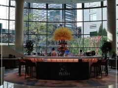-Plush大堂酒廊(北京金融街威斯汀大酒店)