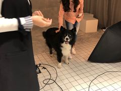 -ID.PHOTO照相馆(嘉里企业中心店)