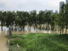 -南京眼步行桥