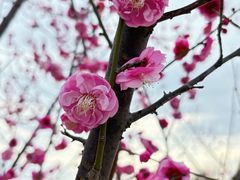 -良渚古城遗址公园