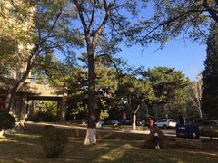 -辽宁大学(崇山校区)
