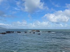 -小麦岛公园