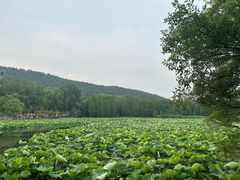 -云龙湖旅游景区