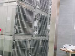-宠福鑫康馨动物医院·骨科·眼科