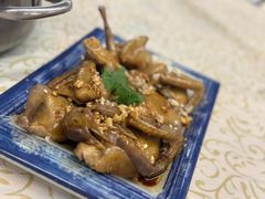 -百利鸽王(紫薇路店)