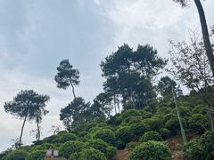 -南山植物园