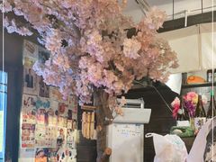 -金龙咖喱