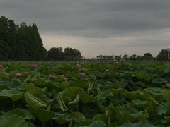 -武汉长江大桥