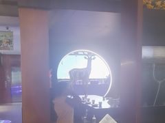 -额尔敦传统涮(公园西路店)