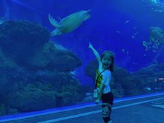 -成都浩海立方海洋公园