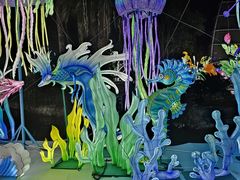 -海合安武汉极地海洋公园