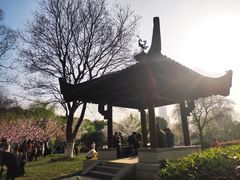 -堤角公园